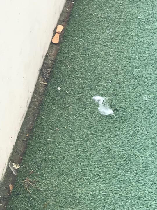 Außenansicht Ferienwohnungen Ferienpark Weissenhäuser Strand