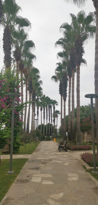 Gartenanlage Arum Barut Collection