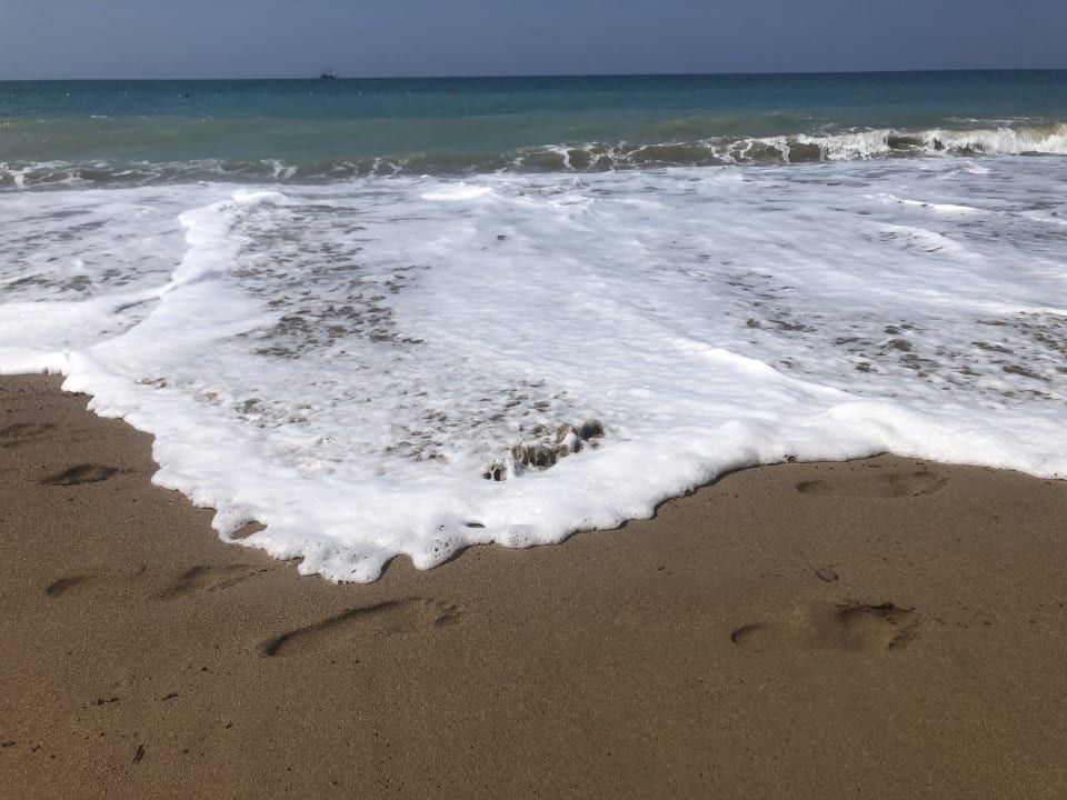 Strand Paloma Finesse