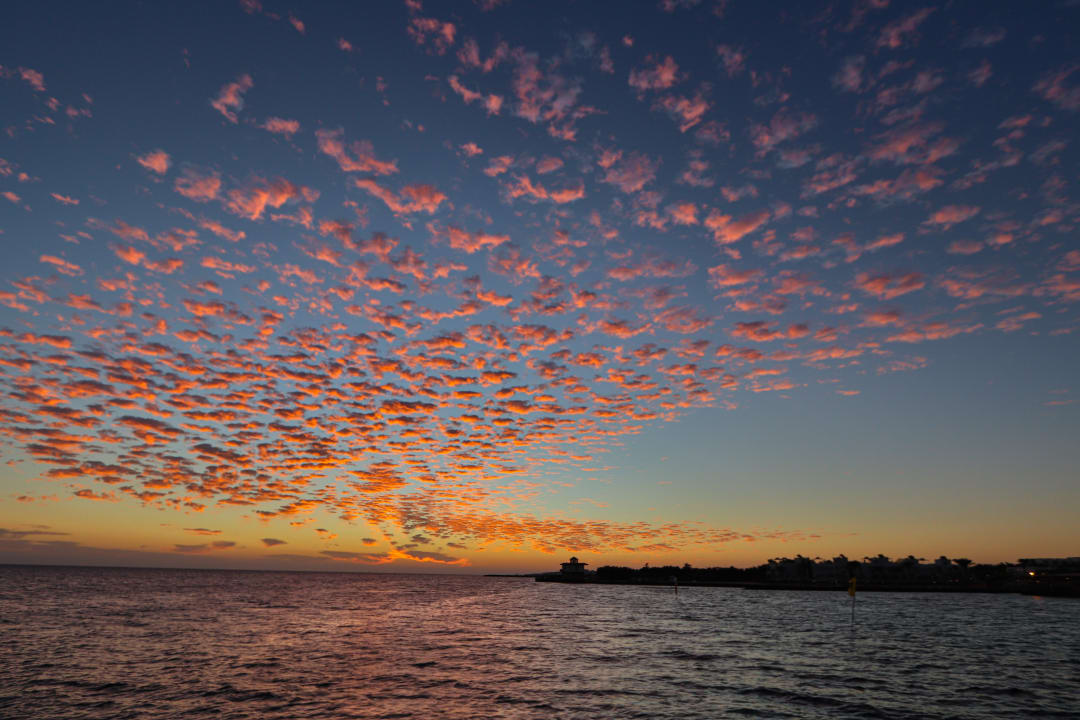 Ausblick Desert Rose