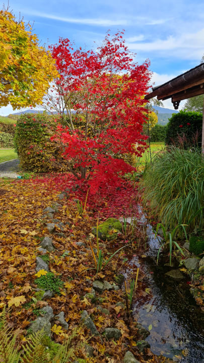 Gartenanlage Hotel Bayerwaldhof