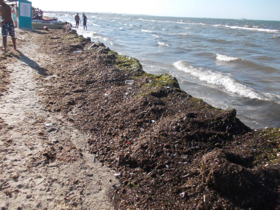 Der Strand nach einer windigen Nacht! Hotel El Mouradi Skanes Beach