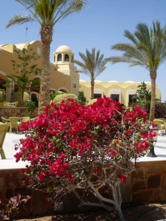 Außenbereich Richtung Lobby und Restaurant Jaz Solaya