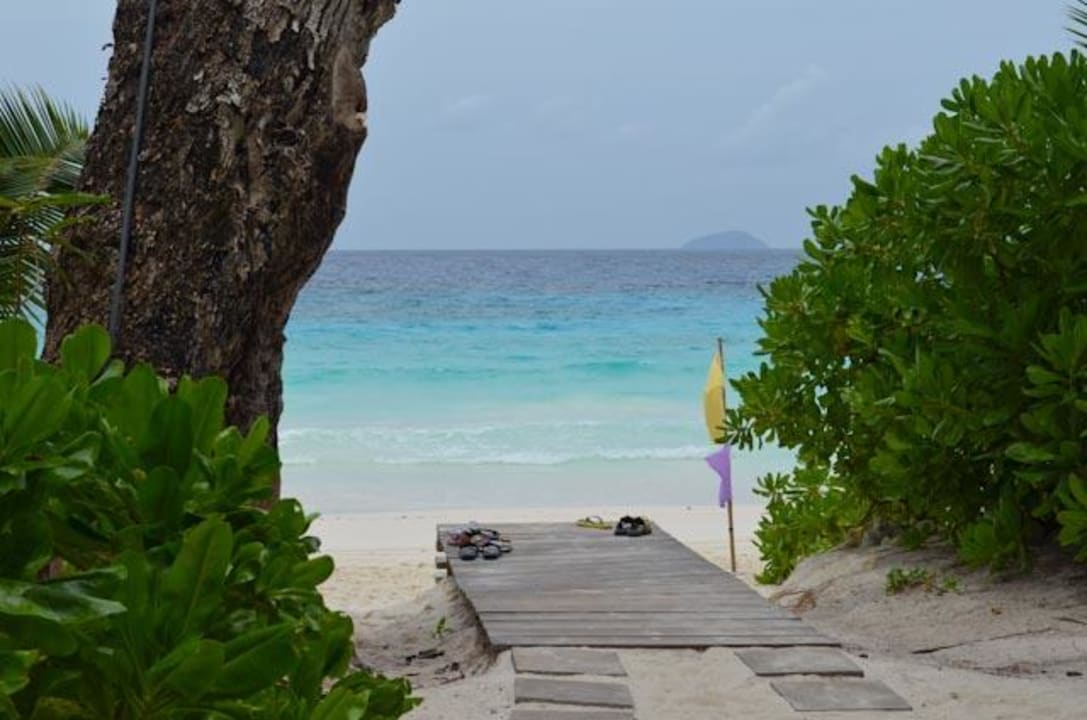 Am Strand Four Seasons Resort Seychelles