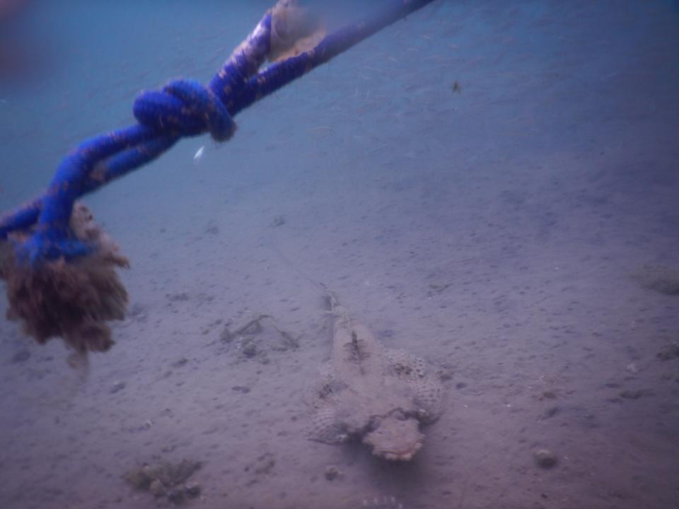 Strand Steigenberger Coraya Beach - Adults only