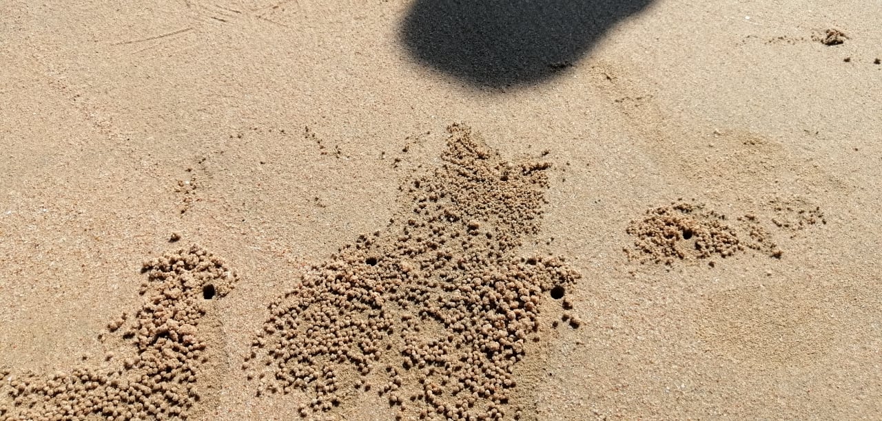 Strand Sentido Caribbean World Soma Bay