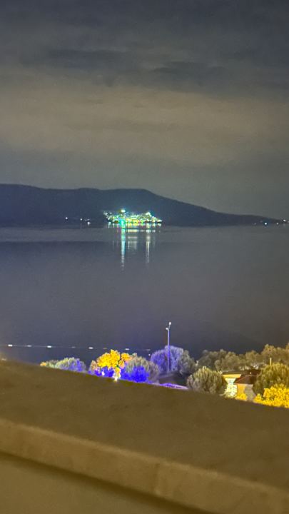 Zimmer Maxeria Blue Didyma