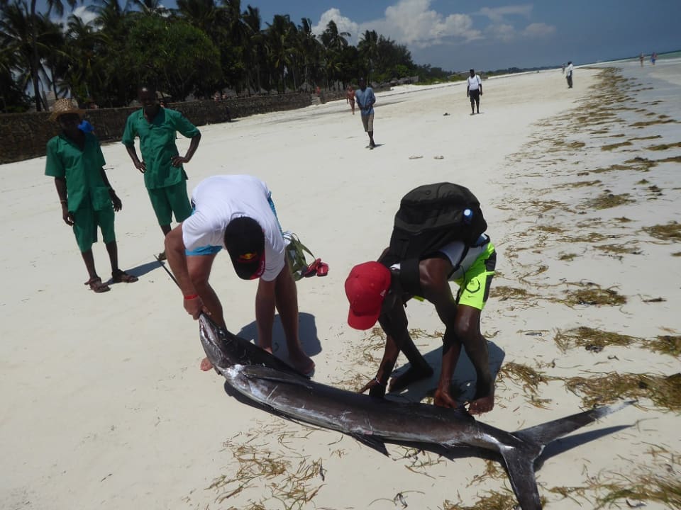 Strand Neptune Village Beach Resort & Spa