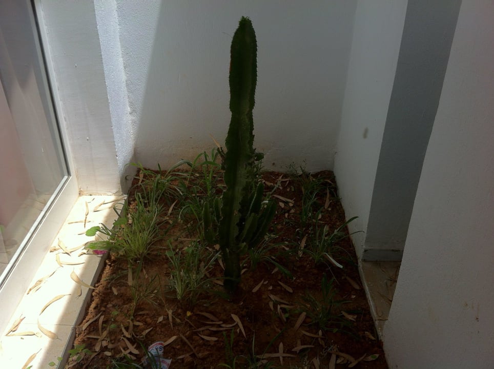 Blick aus dem Fenster Monarque Club Rivage