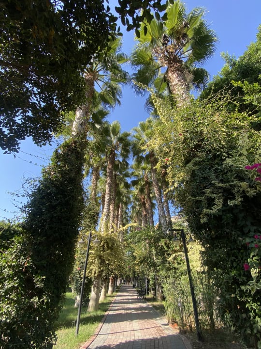Gartenanlage Hotel Gardenia Beach