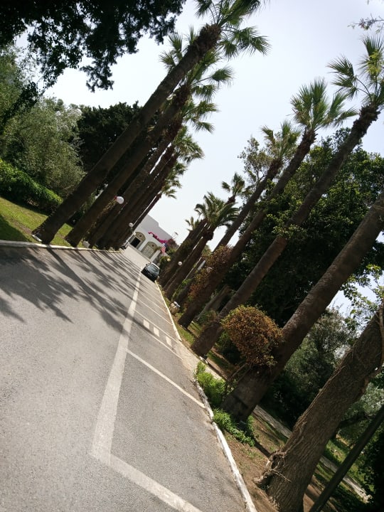 Gartenanlage The Orangers Beach Resort and Bungalows