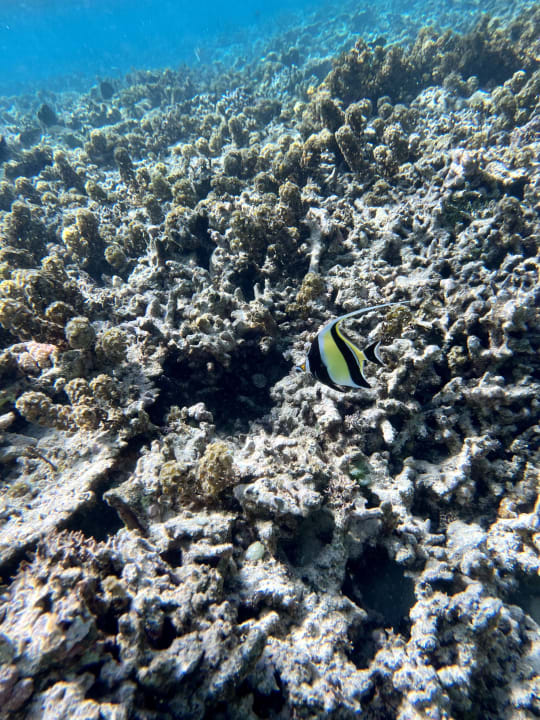 Sport & Freizeit Solana Beach Mauritius