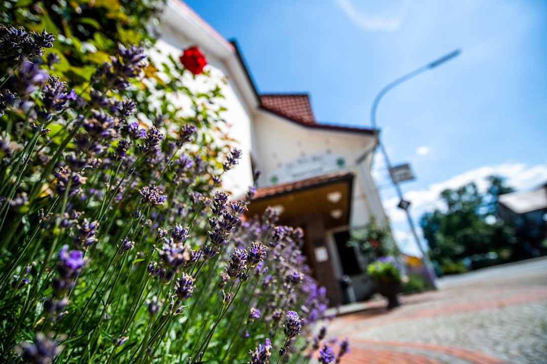 Außenansicht Hotel Garni Zur Alten Post