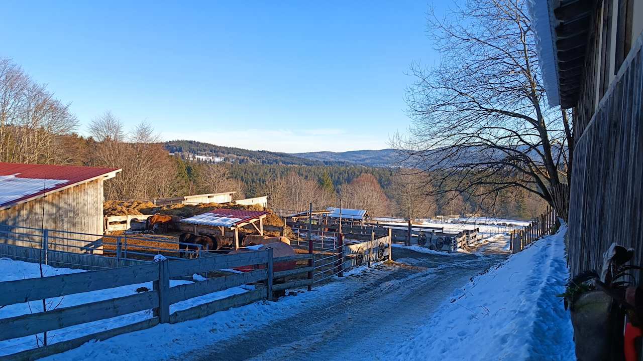Außenansicht Hotel Zum Matthiasl
