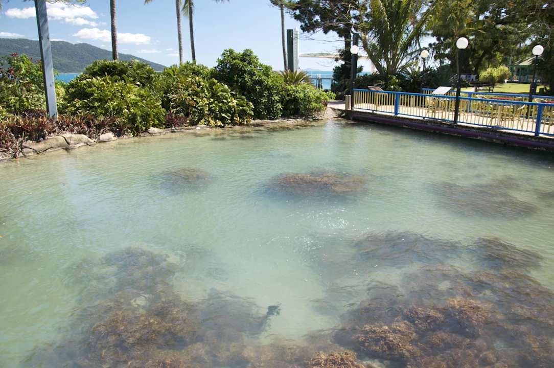 Außenaquarium mit künstlichem Riff Daydream Island Resort and Spa