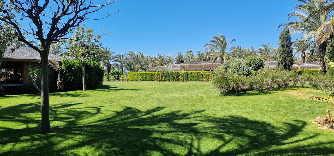 Gartenanlage Royal Wings Hotel