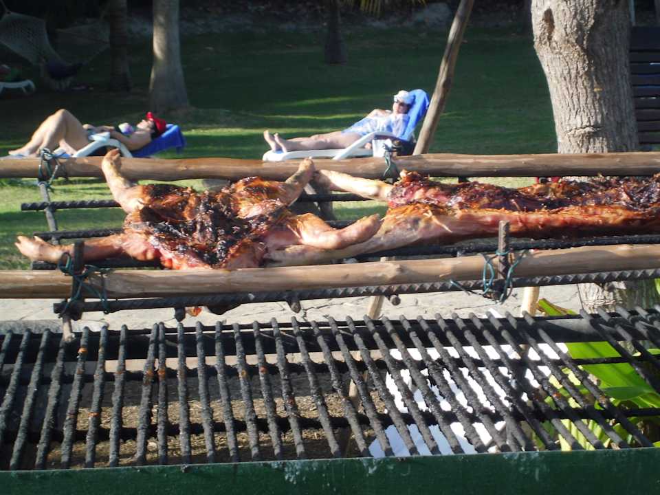 Spanferkelgrillen im Garten Blau varadero - Adults only
