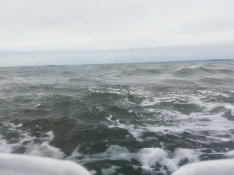 Ausblick Hotelkabinenschiff Junker Jörg