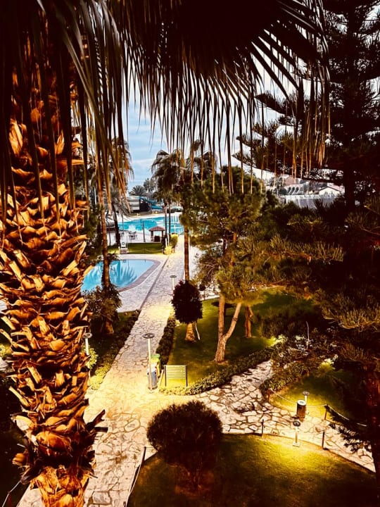 Ausblick Arum Barut Collection