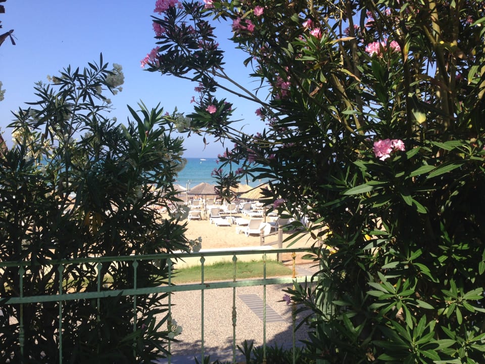 Strand Hotel Defne Star