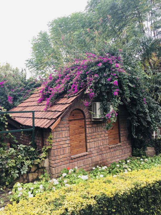 Gartenanlage Can Garden Beach