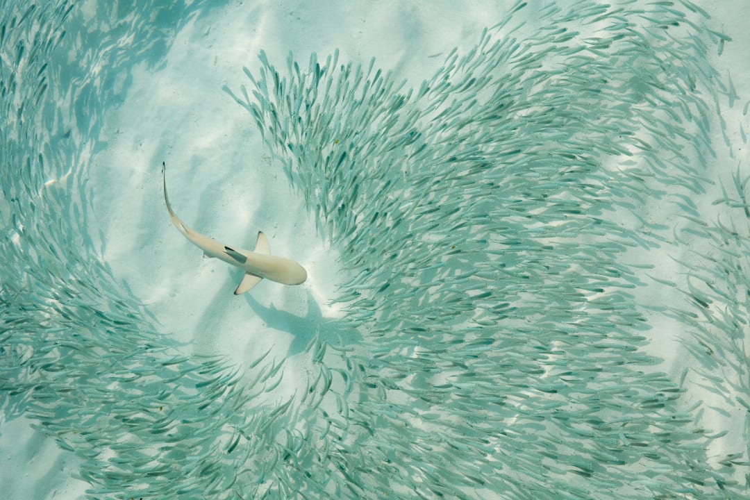 Strand Sun Siyam Iru Fushi