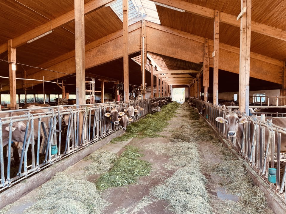 Sport & Freizeit Kittelhof