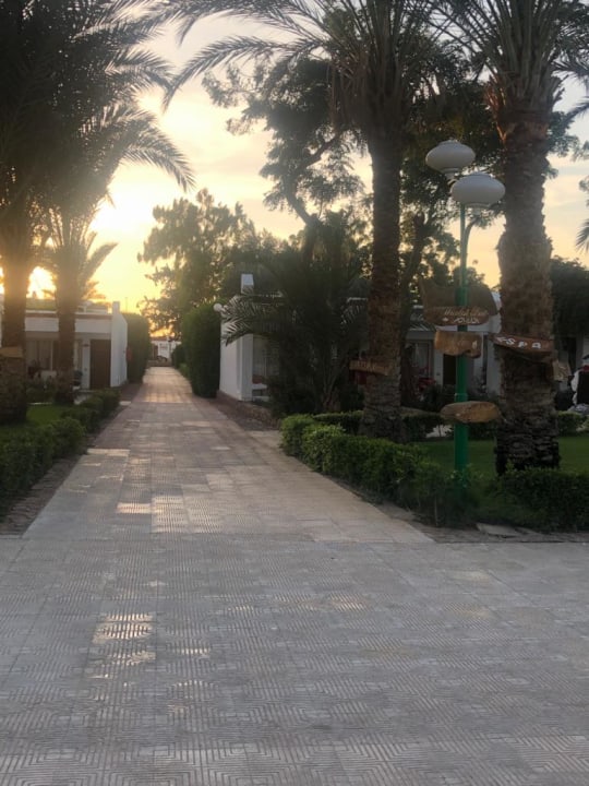 Außenansicht Menaville Safaga