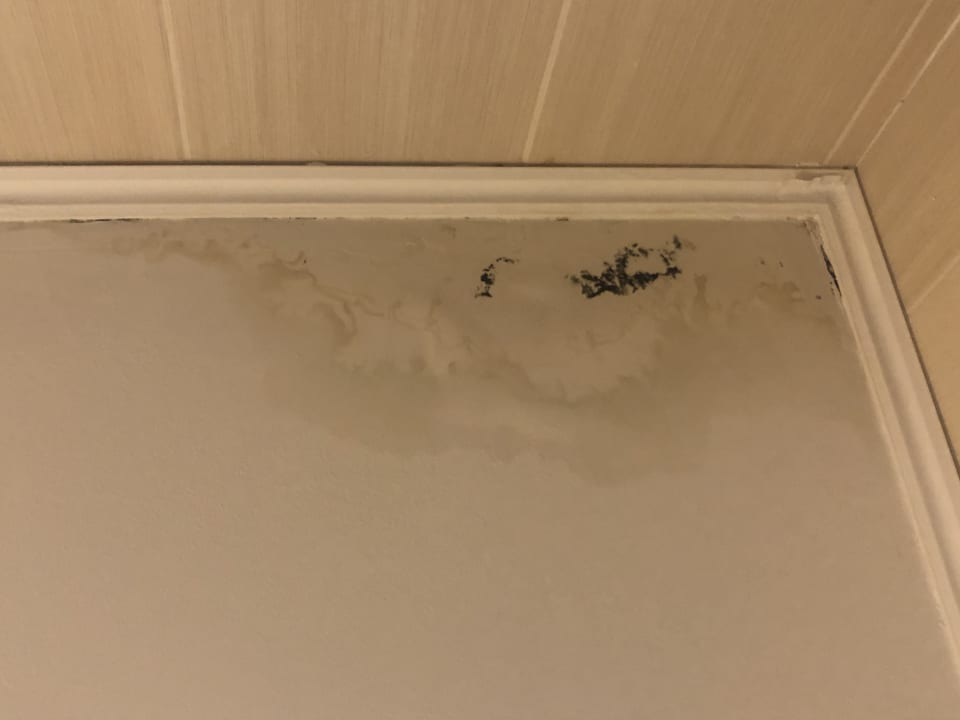 Zimmer Hotel Saint George Palace