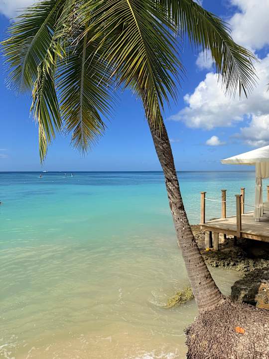 Strand Dreams La Romana Resort & Spa