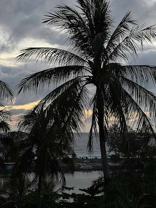 Zimmer Best Western Phuket Ocean Resort