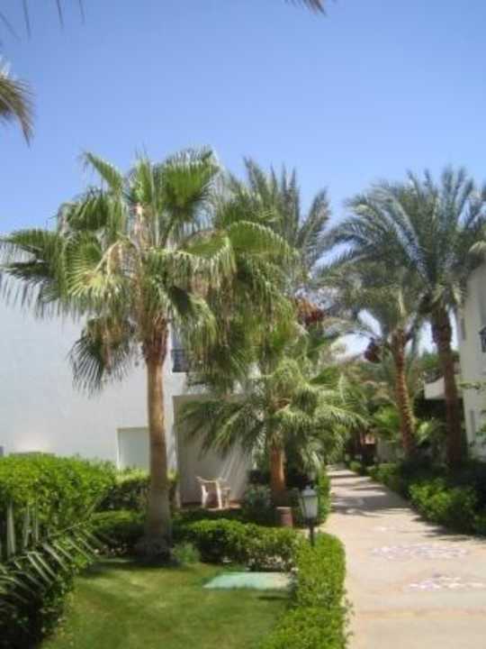 Garten bei den Villen JAZ Fanara Resort