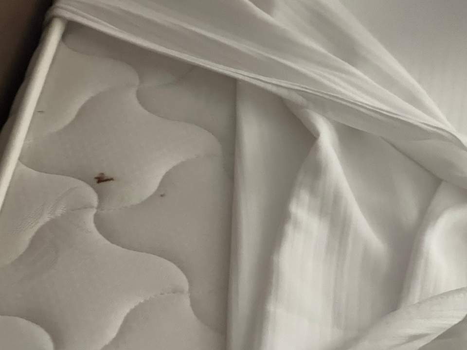 Zimmer Sherwood Dreams Resort