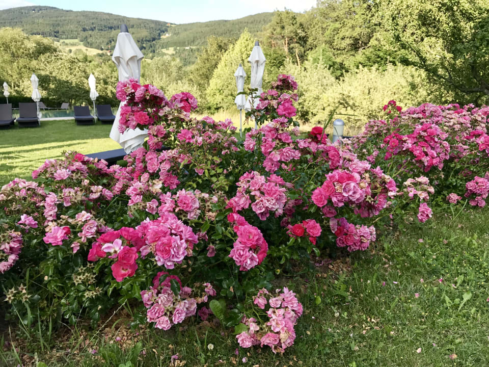 Gartenanlage RETTER Bio-Natur-Resort