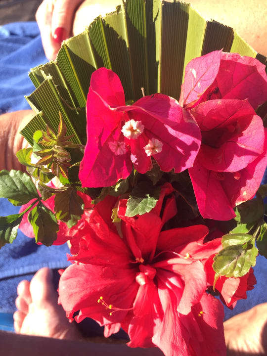 Sonstiges Pickalbatros Citadel Resort