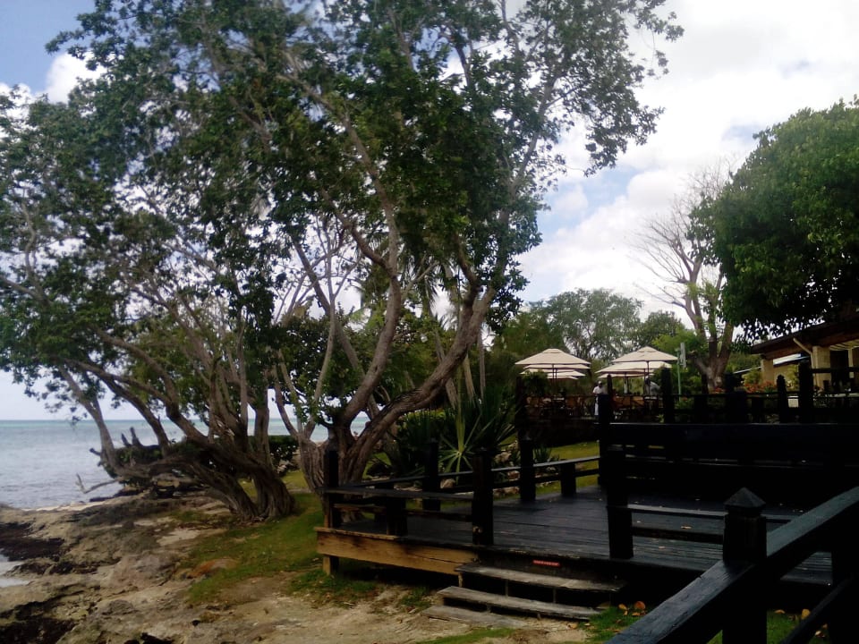 Seaside Grill - Mittag und Abendessen Dreams La Romana Resort & Spa