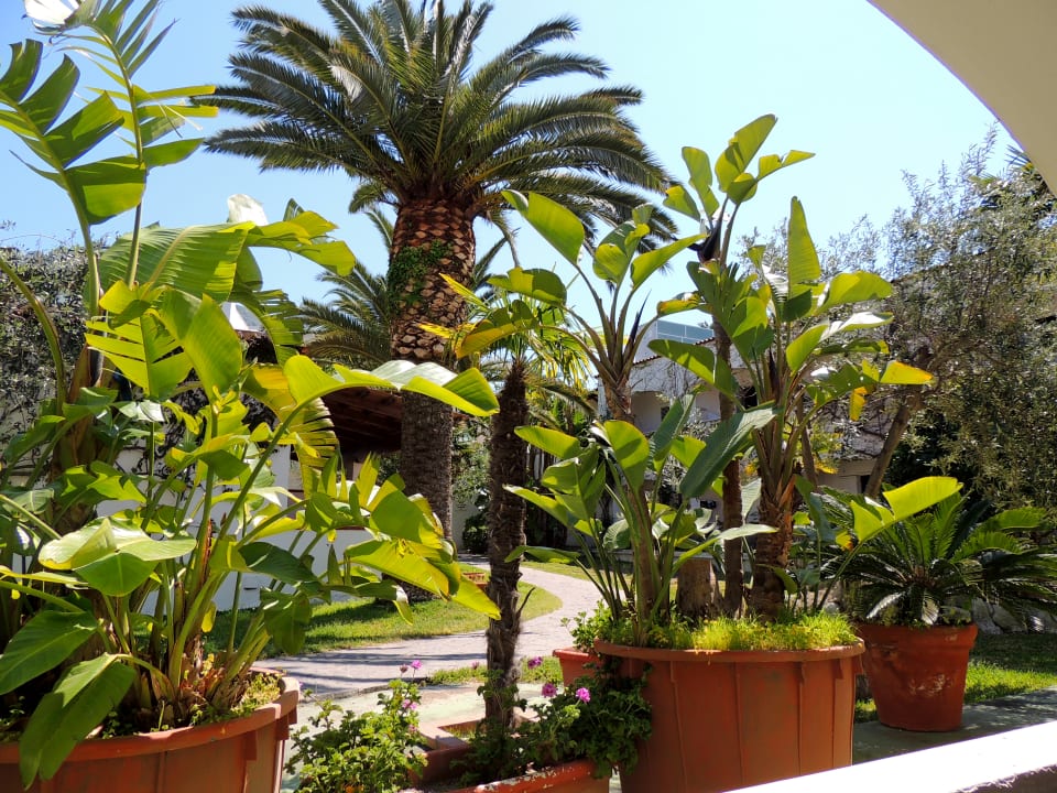 Gartenanlage Hotel Terme Royal Palm