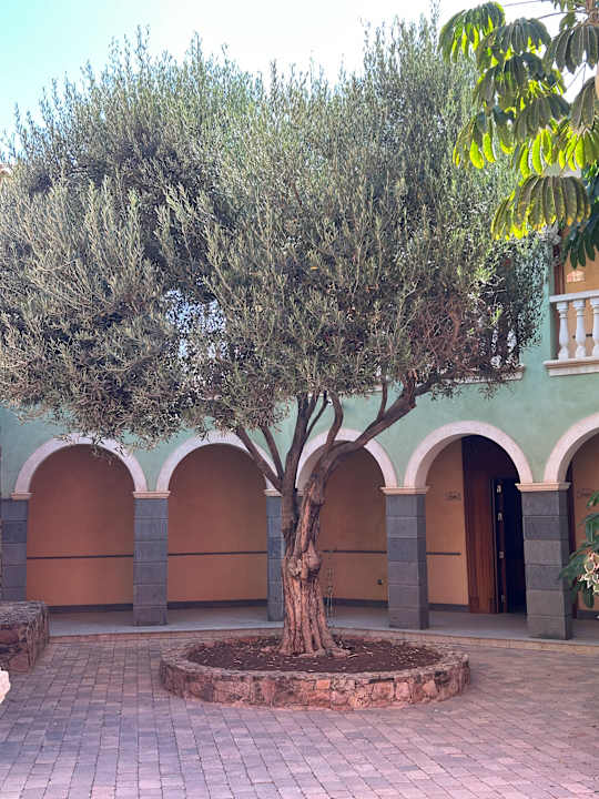 Gartenanlage R2 Rio Calma Hotel & Spa & Conference