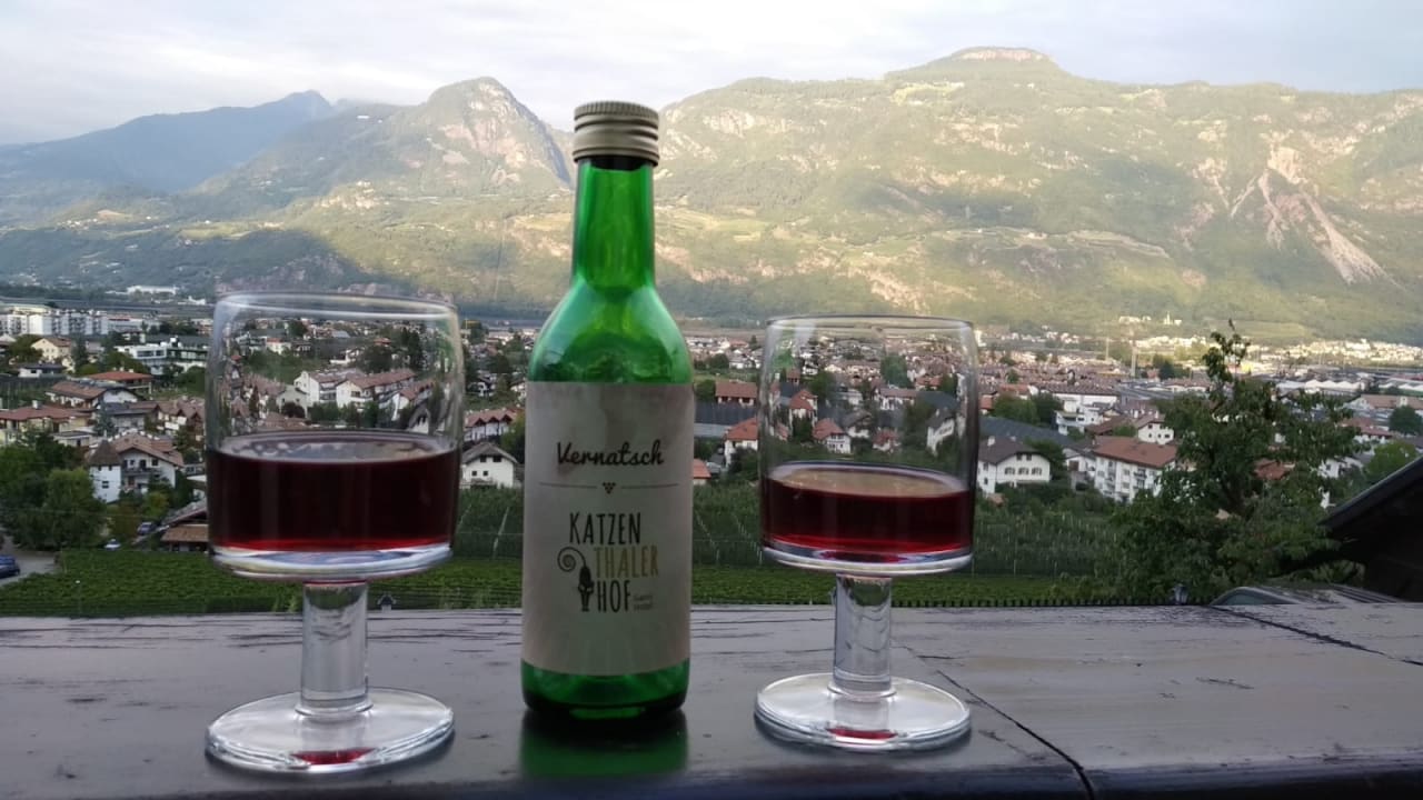 Ausblick Garni Hotel Katzenthalerhof