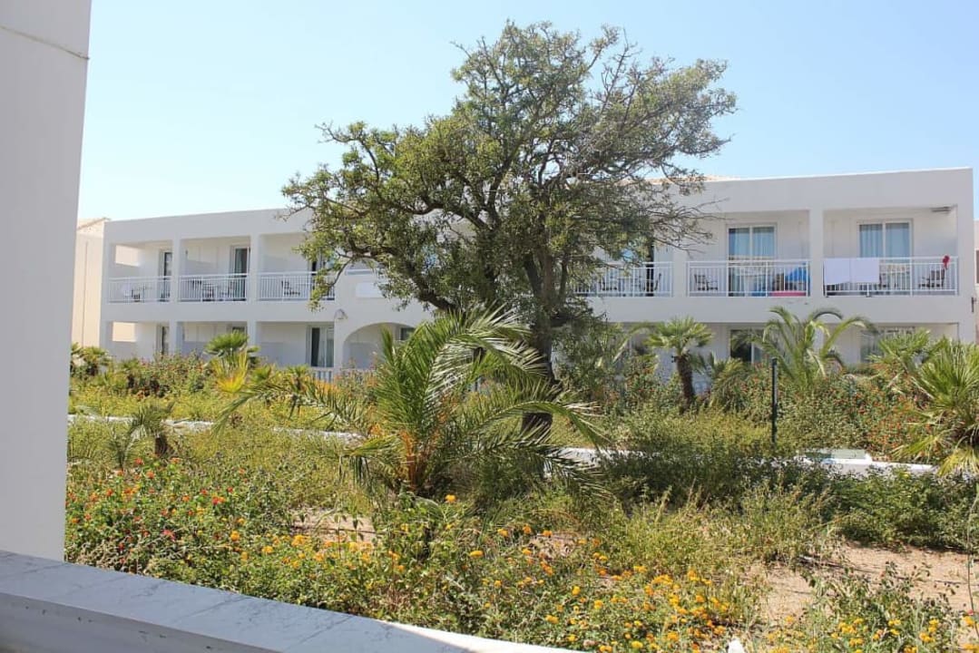 Widok z balkonu Sandy Beach Resort