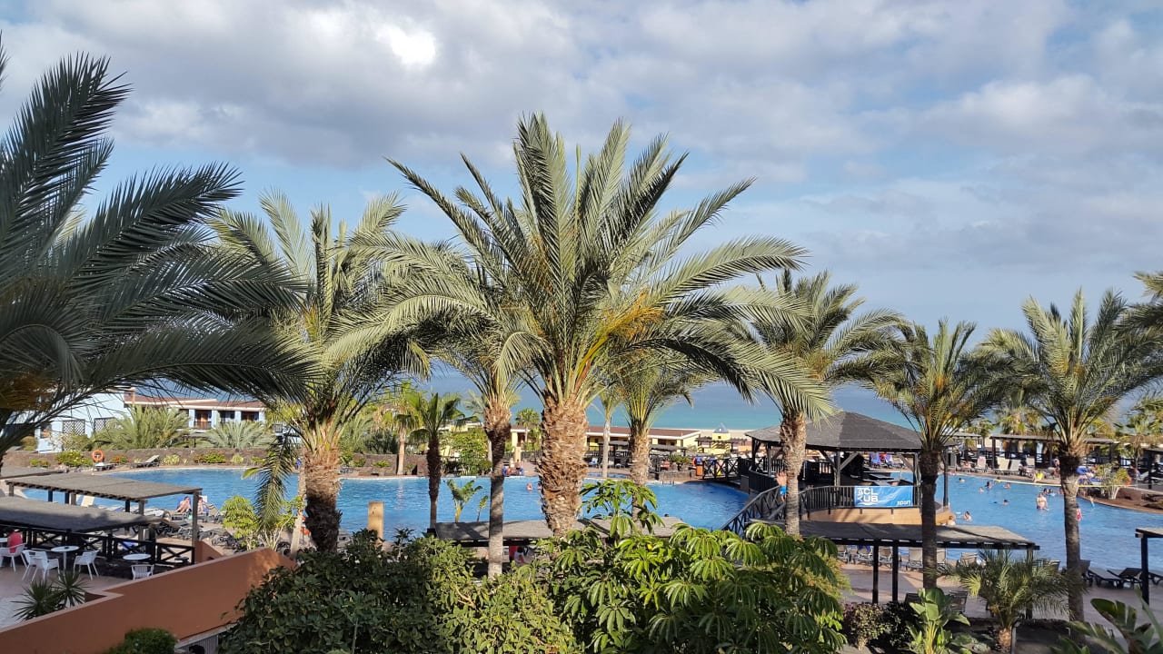 Pool-Anlage, aber nicht Premium-Bereich Occidental Jandía Royal Level - Adults only