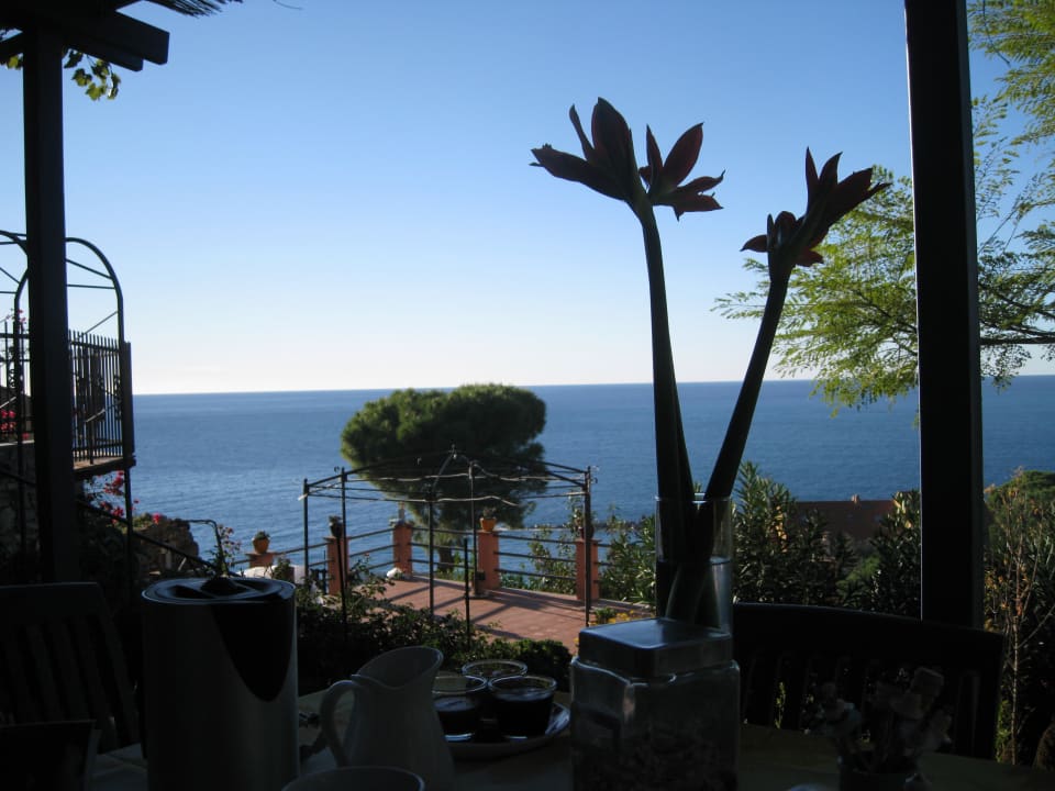 Von der Terrasse aus Bed & Breakfast La Mimosa del golfo