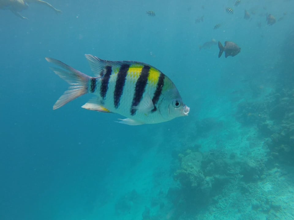 Sport & Freizeit Kuramathi Maldives
