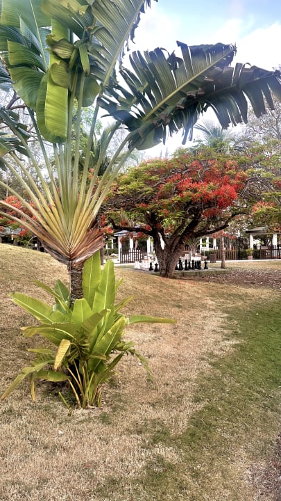 Gartenanlage Blau varadero - Adults only