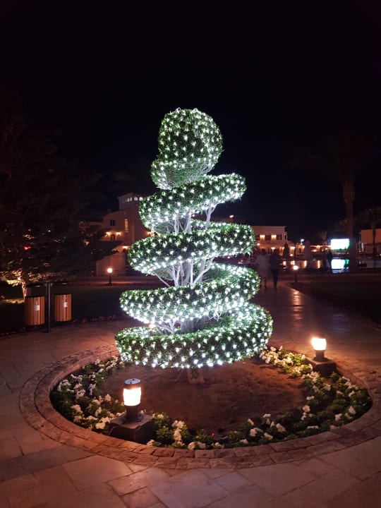 Weihnachtsbeleuchtung Pickalbatros Dana Beach Resort - Hurghada