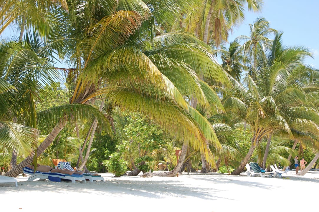 Menschenleerer Strand Meeru Maldives Resort Island