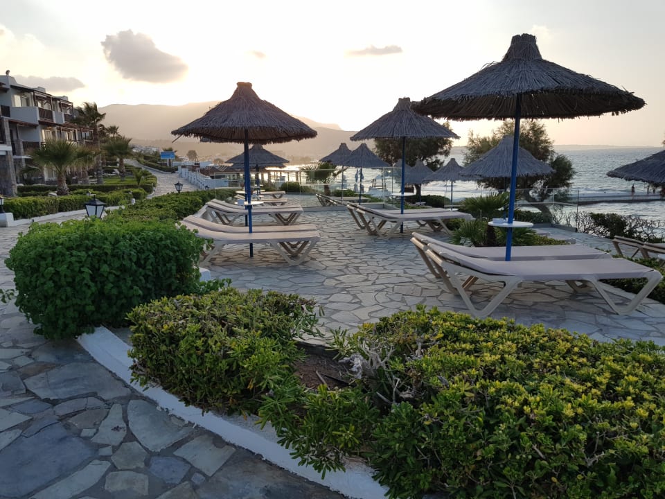 Ausblick Alexander Beach Hotel & Village Resort