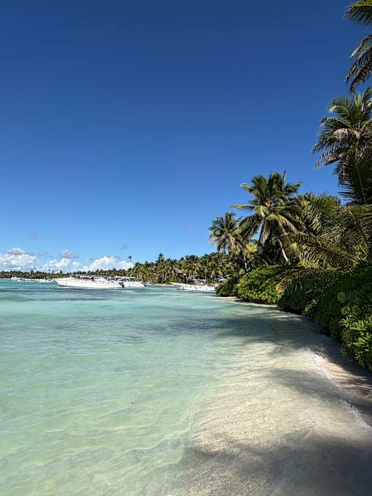 Strand Hotel Viva Dominicus Palace by Wyndham-All Inclusive Resort