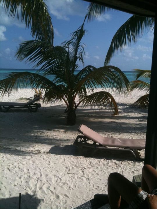 Kuredu Island Resort & Spa Kuredu Island Resort & Spa