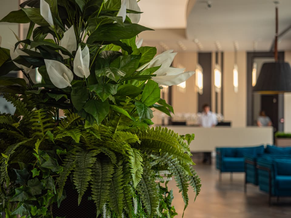 Lobby Aqua Paradise Resort